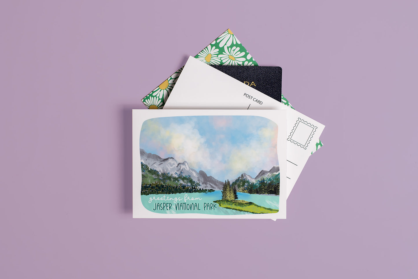 Bay of Fundy, NB Canada Postcard