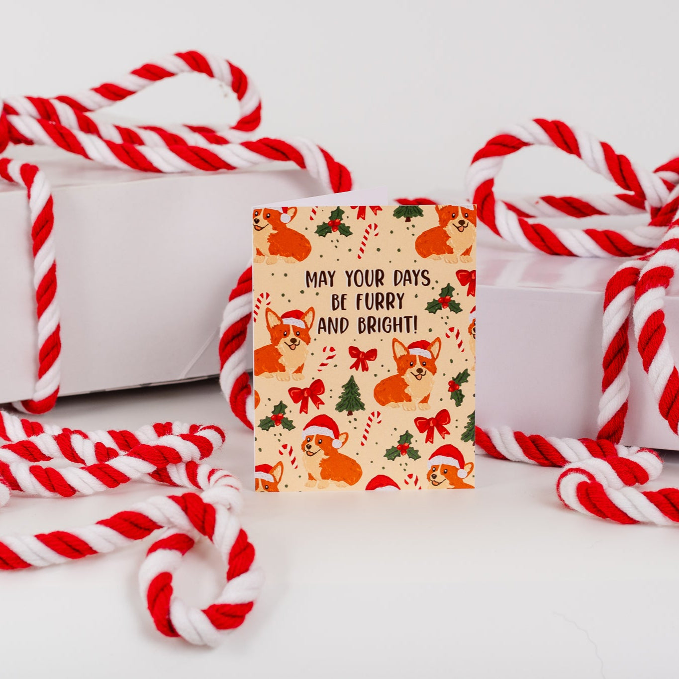 May Your Days Be Furry And Bright! - Greeting Card