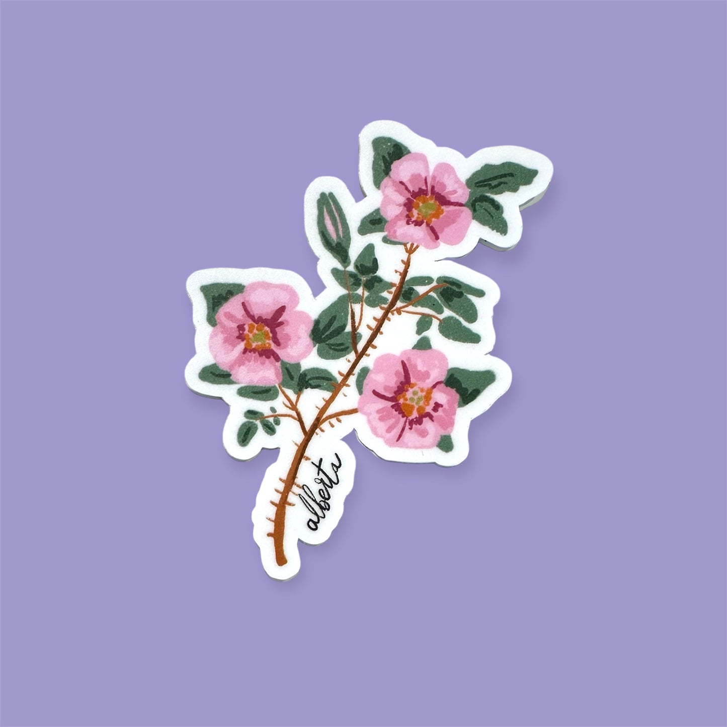 Alberta Wild Rose Matte Sticker