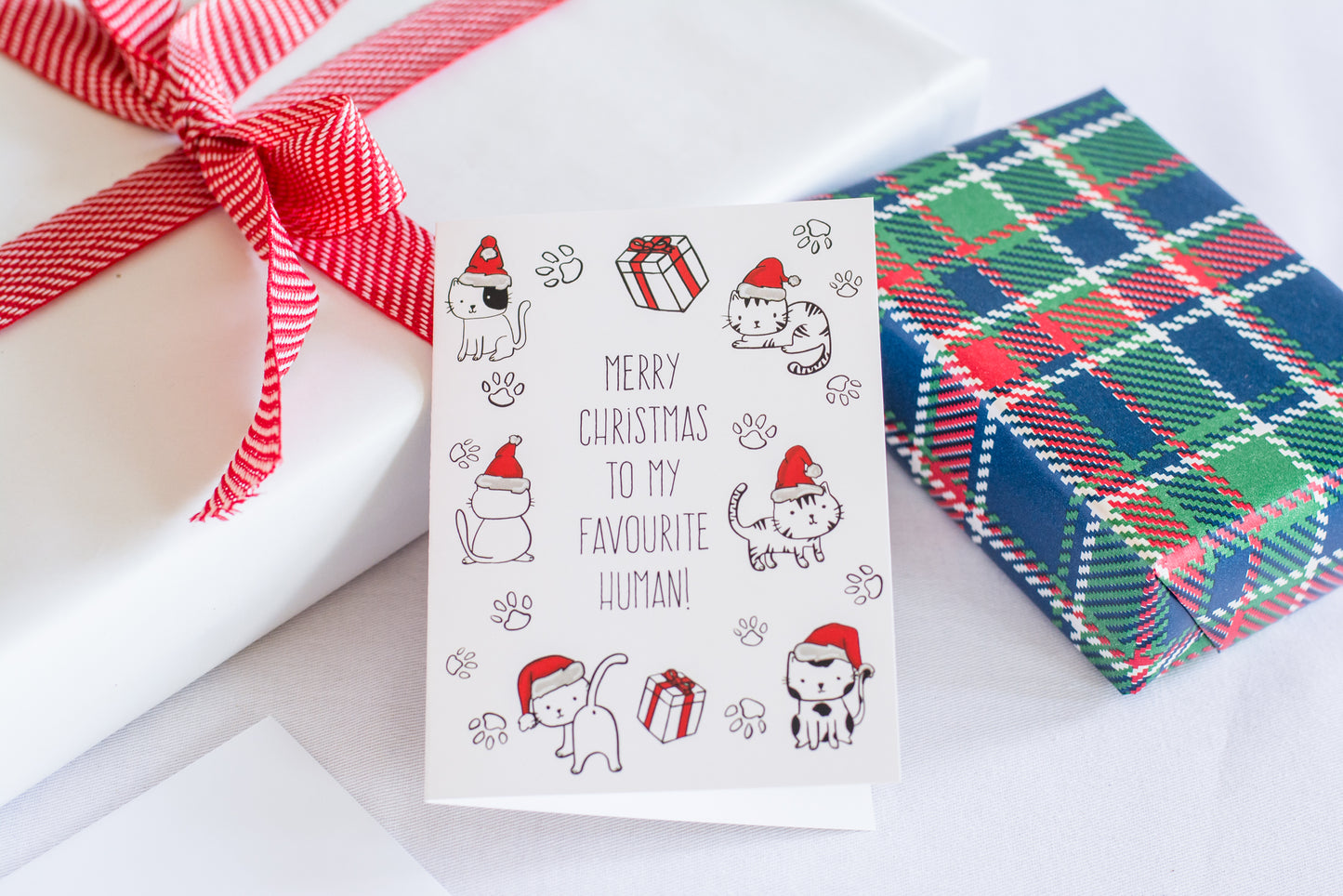 Merry Christmas To My Favourite Human! (Cat) - Greeting Card