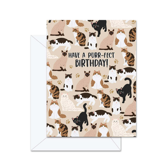 Have A Purr-fect Birthday! - Greeting Card