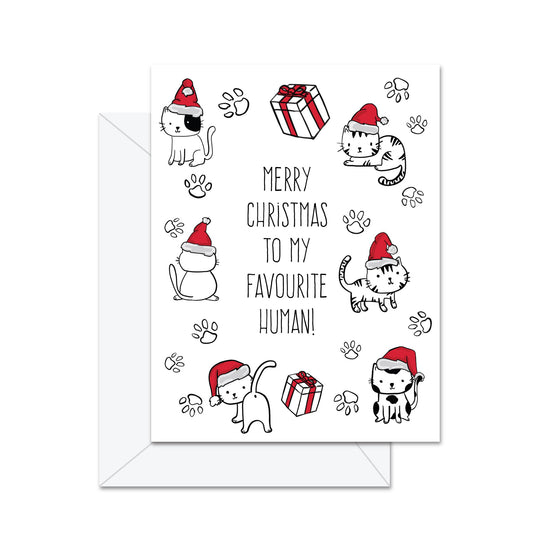 Merry Christmas To My Favourite Human! (Cat) - Greeting Card