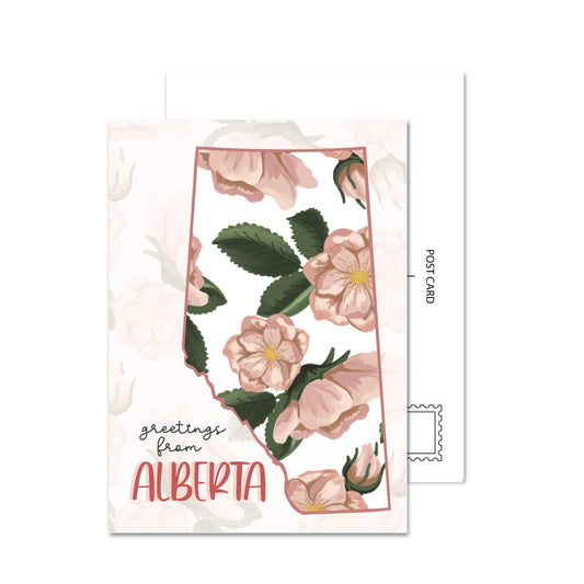 Greetings From Alberta (Pattern) Postcard