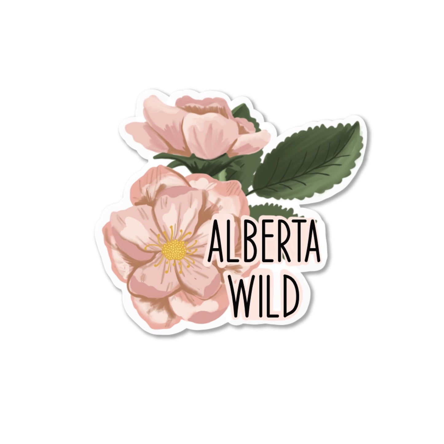 Alberta Wild Rose Matte Sticker