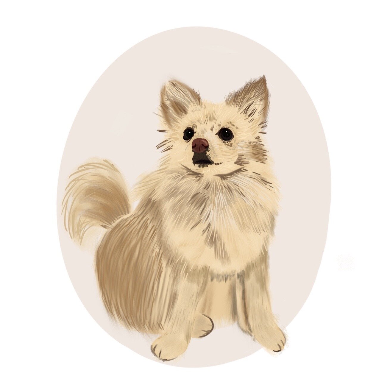 Custom Pet Portrait Illustration
