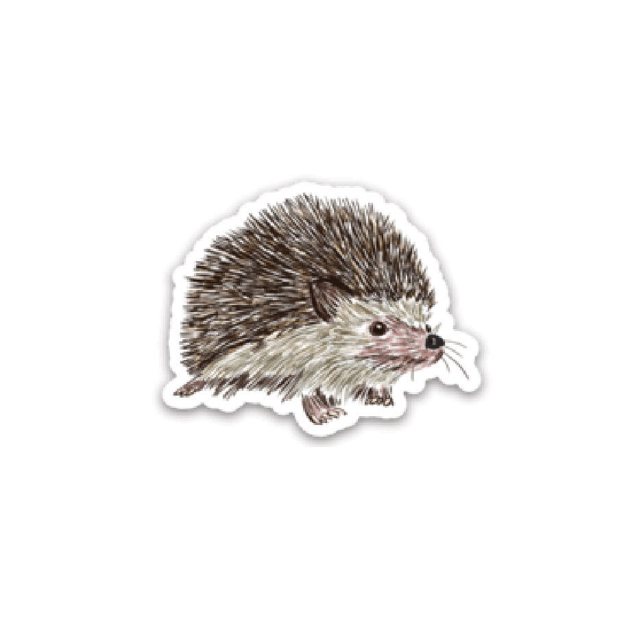 Hedgehog - Matte Sticker